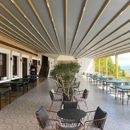 Ardenica Boutique 4* Lushnjë