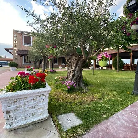 Ardenica Boutique Lushnjë