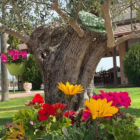Ardenica Boutique 4*